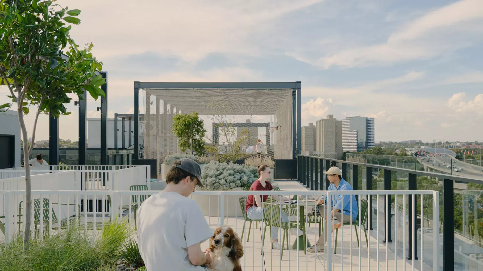 20250326 ASSEMBLE 15 Thompson Street Rooftop Dog Park Tom Ross FINAL 05 3060x1720 webp