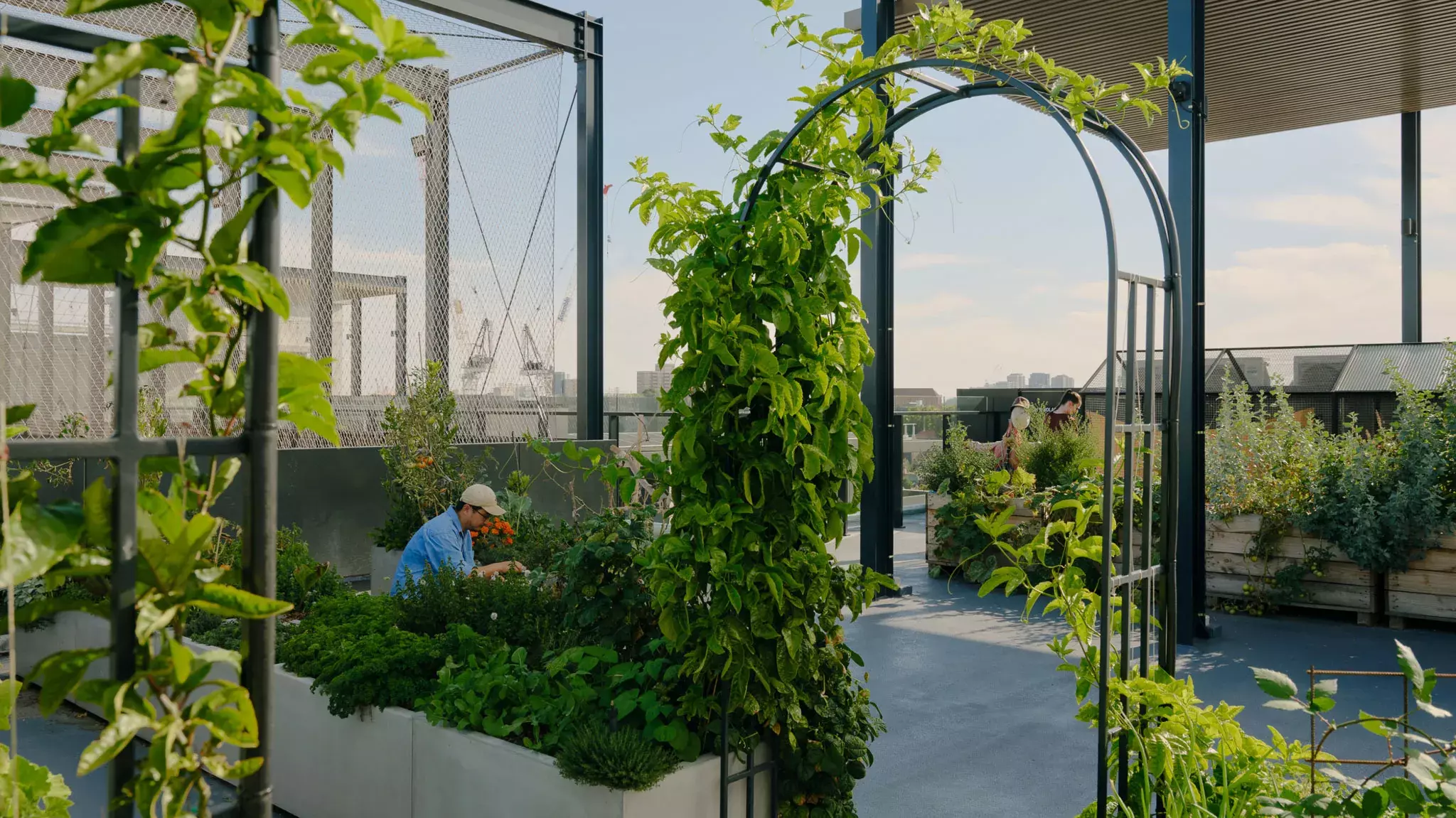 20250326 ASSEMBLE 15 Thompson Street Rooftop Garden Tom Ross FINAL 06 3060x1720